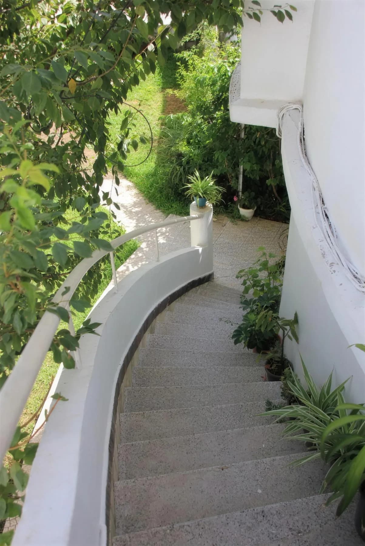 The stairs down to the garden